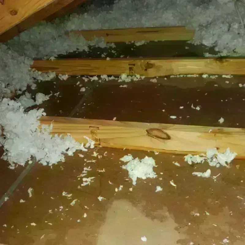 Attic Water Damage in Trempealeau County, WI